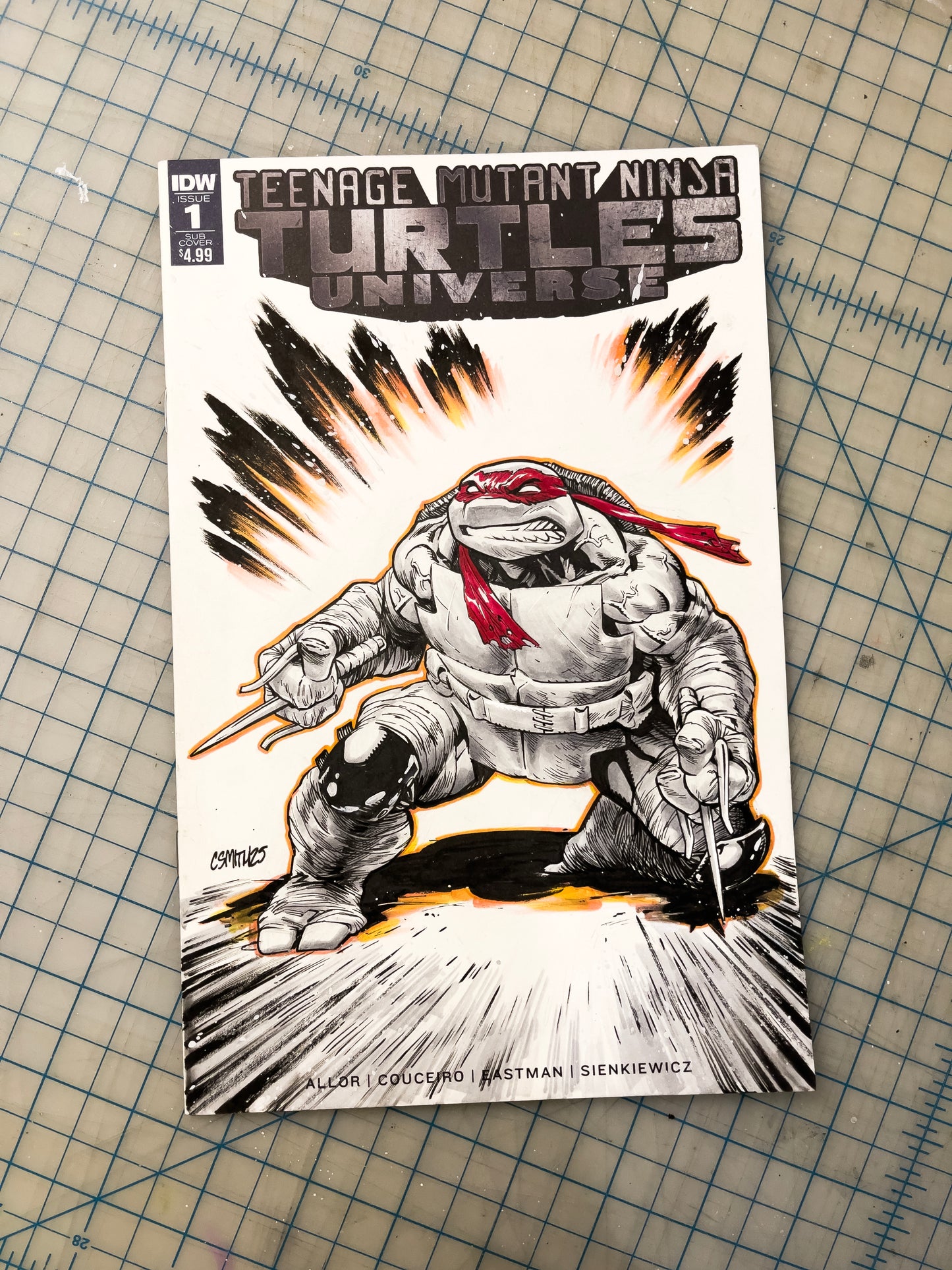 Teenage Mutant Ninja Turtles Universe #1 - Raphael Sketch Cover