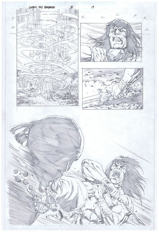 Conan the Barbarian - #21 - Page 17