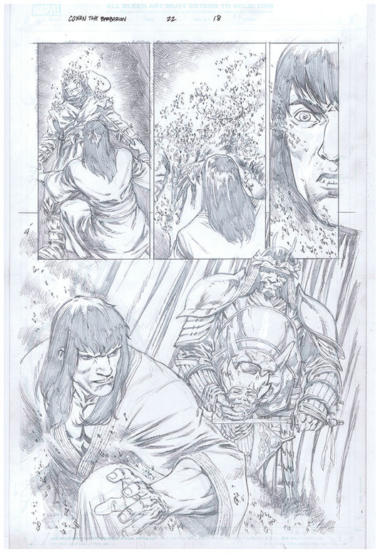 Conan the Barbarian - #22 - Page 18